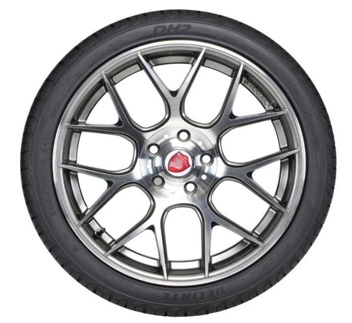 205/60R16 Delinte DH2 92V ЛТ 