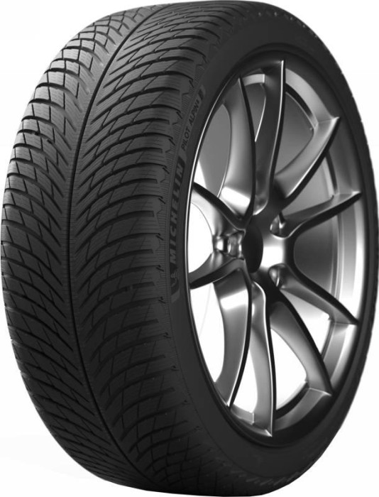265/40R22 Michelin Pilot Alpin 5 106V