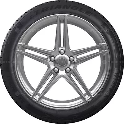 225/55R17 Triangle TW401 101V ЗИМ
