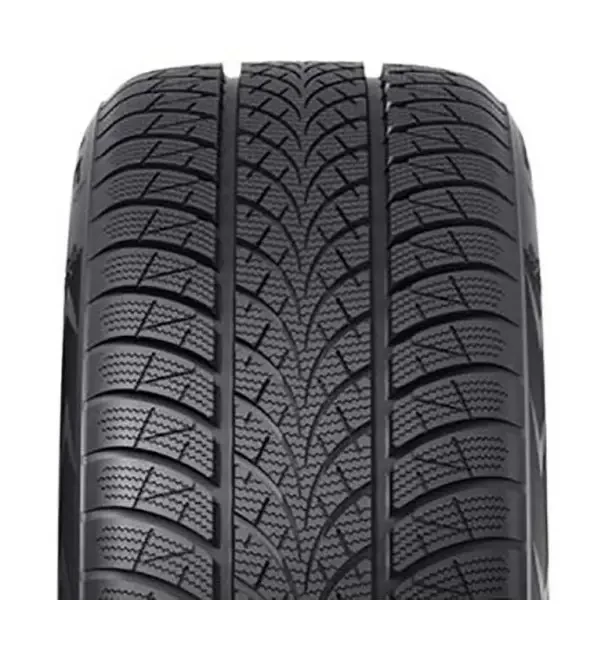 225/60R16 Triangle TW401 102V ЗИМ